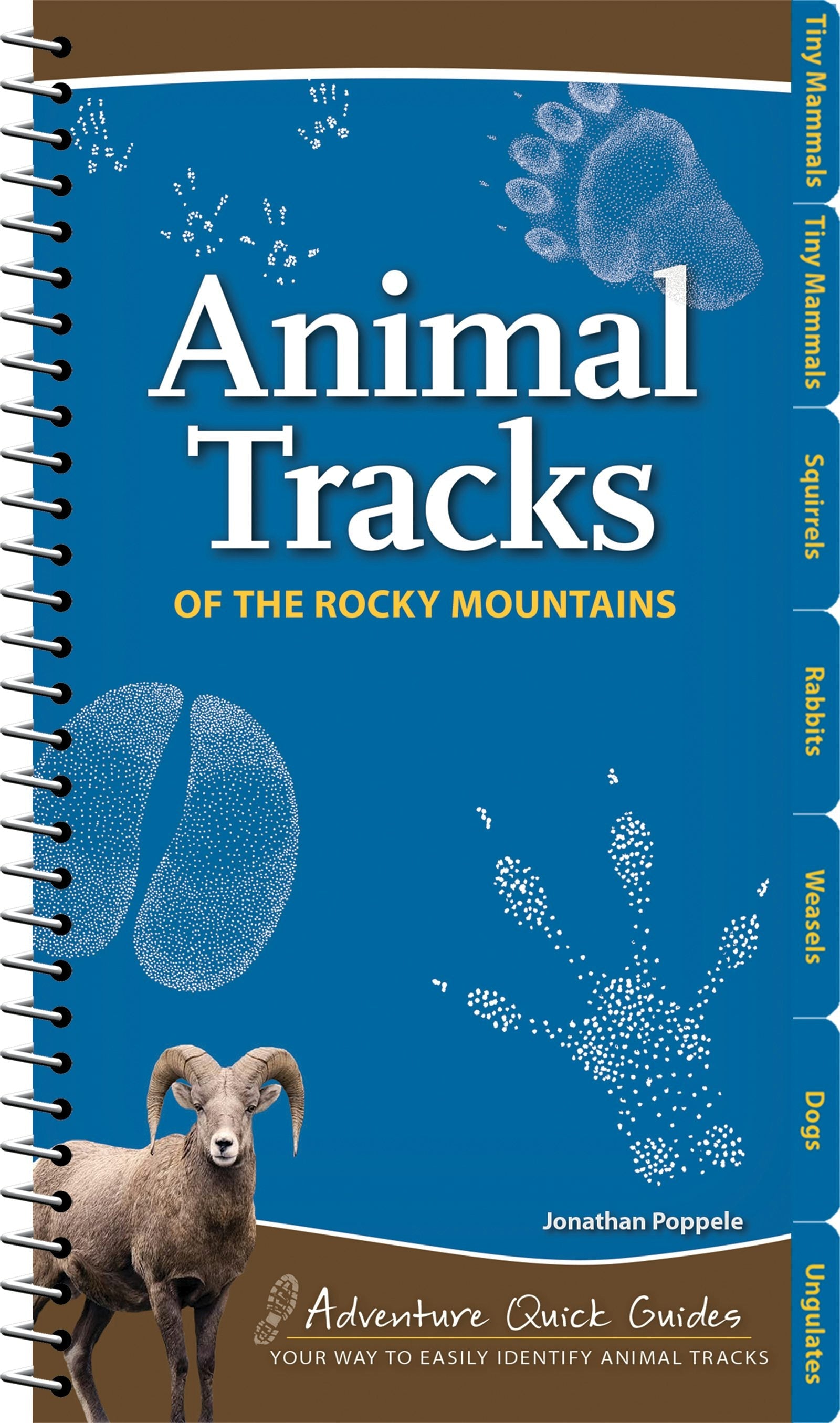 Book cover image for Animal Tracks of the Rocky Mountains ISBN: 9781591936985